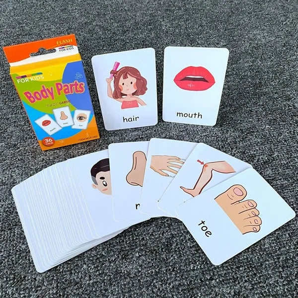 Kids Flash Cards