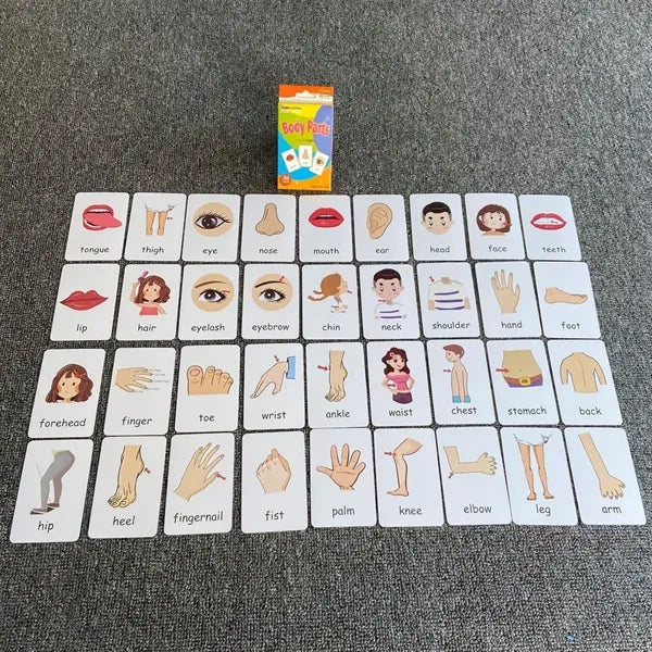 Kids Flash Cards