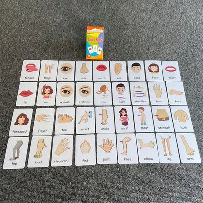 Kids Flash Cards