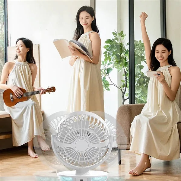 Desk Rechargeable Fan