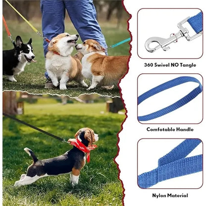 Dog Leash