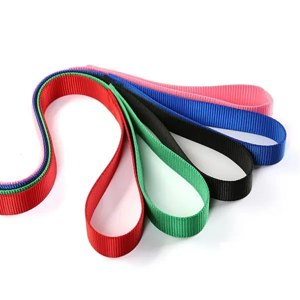 Dog Leash