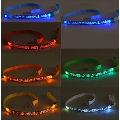Led Dog Leash