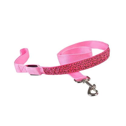 Led Dog Leash