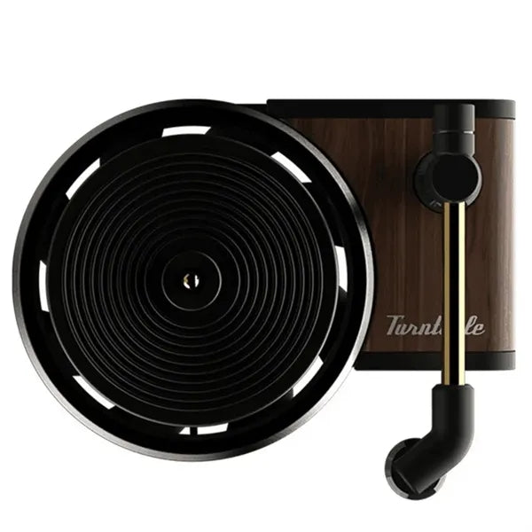 Mini record shape Automotive Air Fresheners Odor