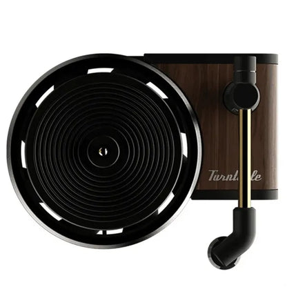 Mini record shape Automotive Air Fresheners Odor