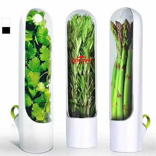 Vegetable Storage Box