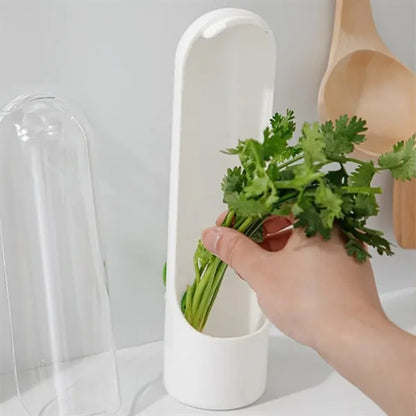 Vegetable Storage Box