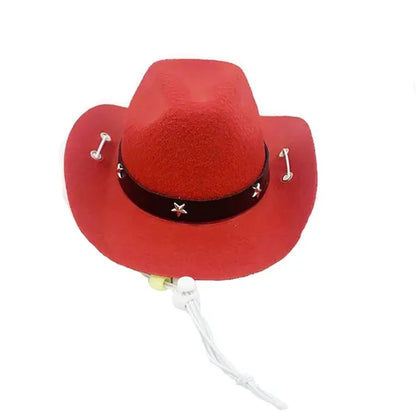 Pet Formal Top Cowboy Mexico Sombrero Hat
