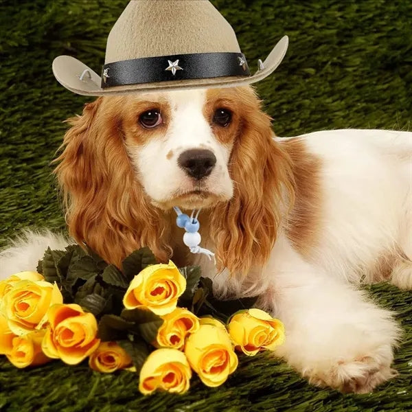 Pet Formal Top Cowboy Mexico Sombrero Hat