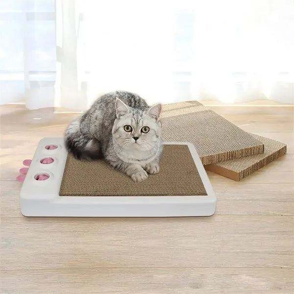 Cat Scratching Board