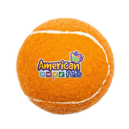 Pet Fetch Toy Tennis Ball