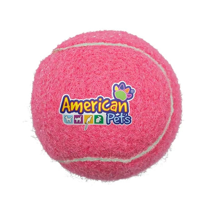 Pet Fetch Toy Tennis Ball