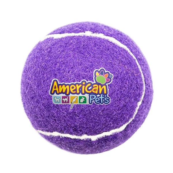 Pet Fetch Toy Tennis Ball