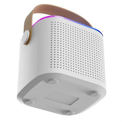 Karaoke Machine With 2 Wireless Microphone