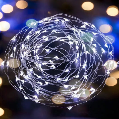 LED Fairy String Lights