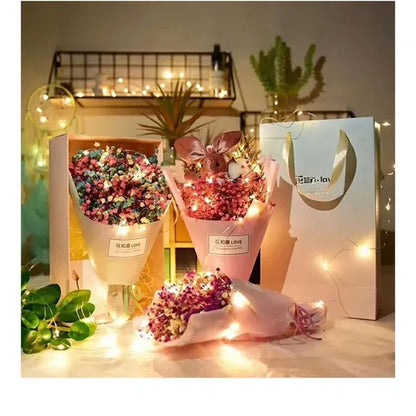 LED Fairy String Lights