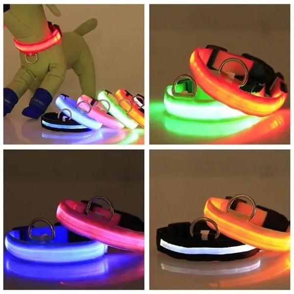 LED PET Collar
