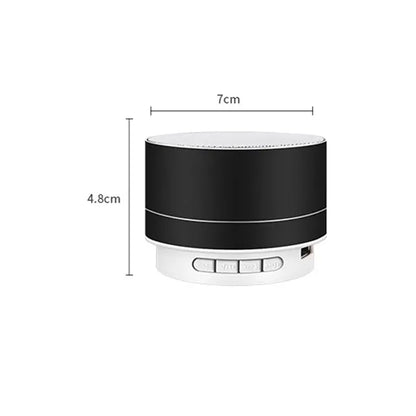 Outdoor Speaker
