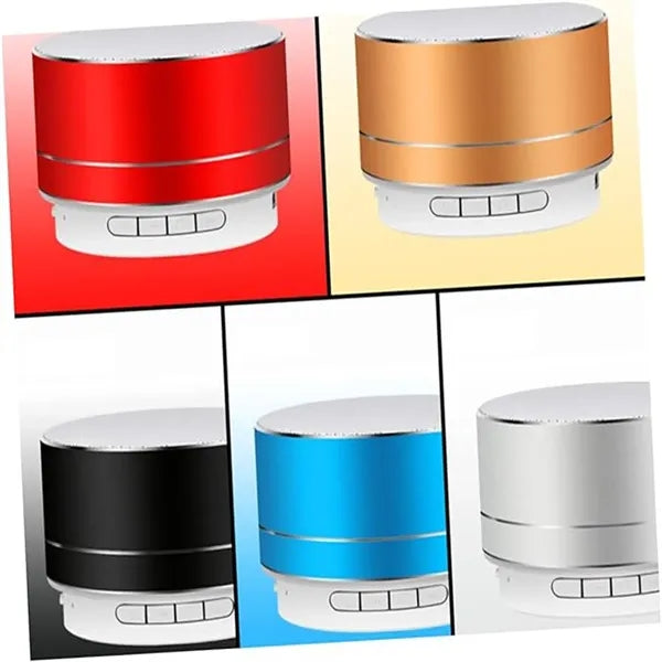 Outdoor Speaker