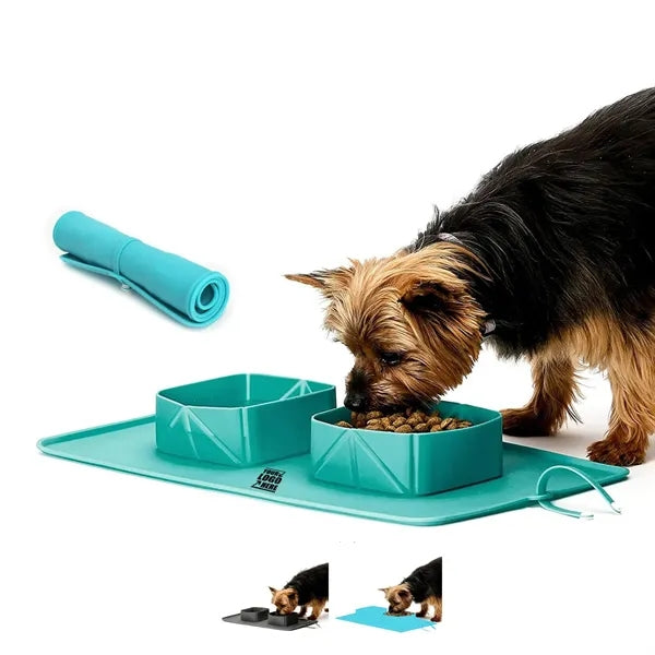 Cat Bowls And Dishes