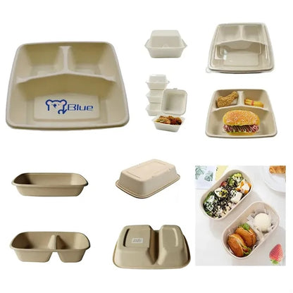 Disposable Lunch Box