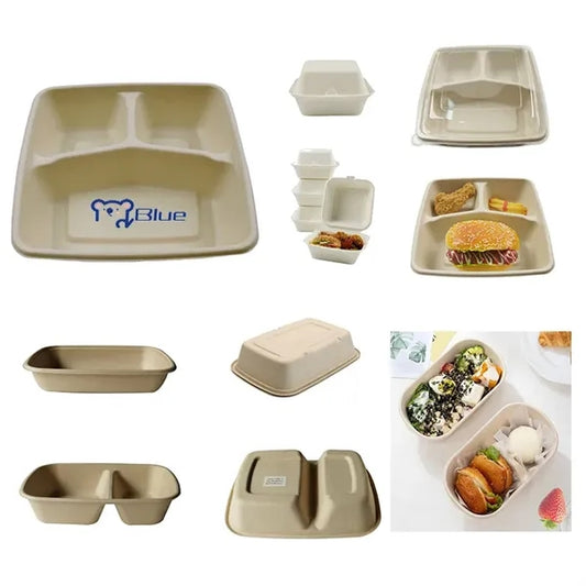 Disposable Lunch Box