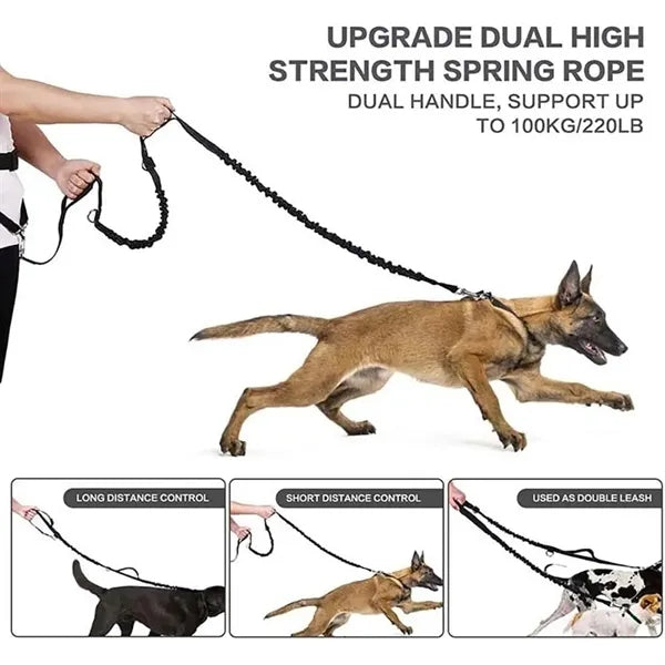 Dog Training Waist Bag Hands-Free Leashes Set