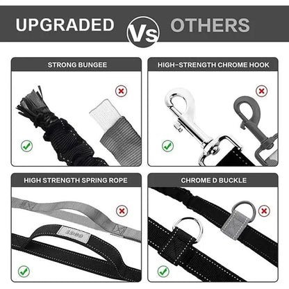 Dog Training Waist Bag Hands-Free Leashes Set