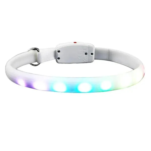 Pet Safety LED Collar MOQ 10pcs