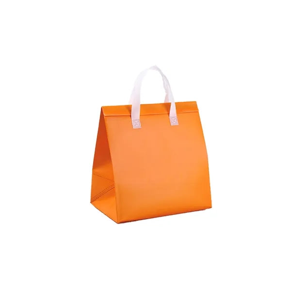Waterproof Cooler Insulated Tote Bag