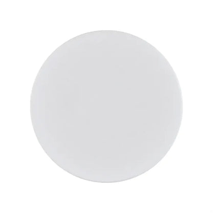 Ceramic Poker Chip Token