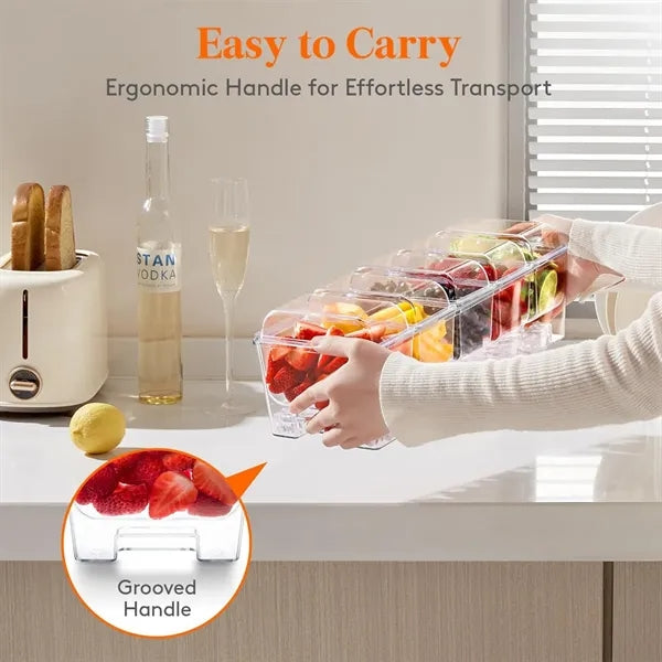 Condiment Caddy Ice Chilled Holder