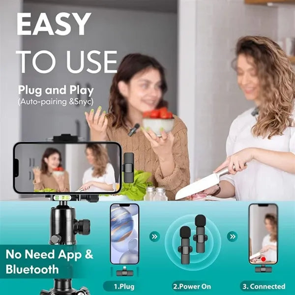 Wireless Mic with 2 Microphones