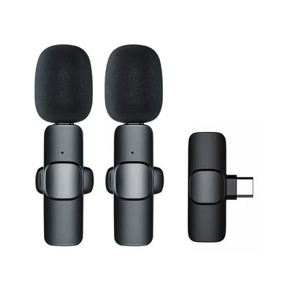 Wireless Mic with 2 Microphones