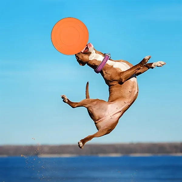 Durable Soft TPR Dog Flying Disc