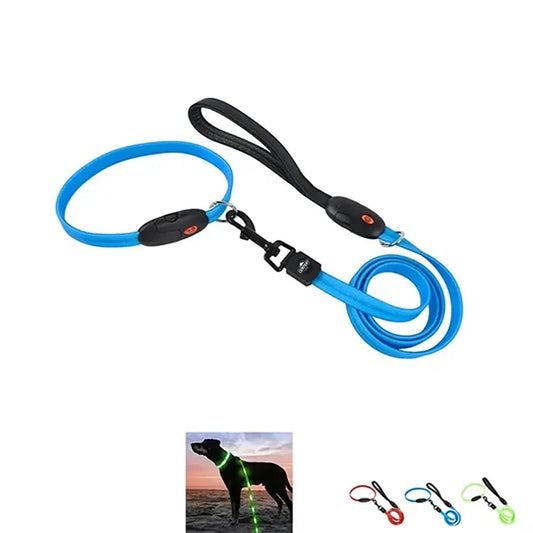 Night Safety Led Dog Leash