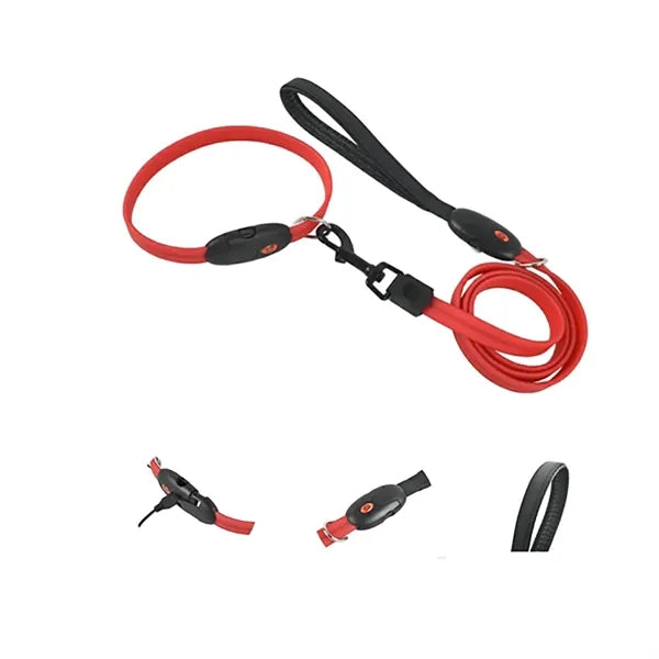 Night Safety Led Dog Leash
