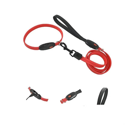 Night Safety Led Dog Leash