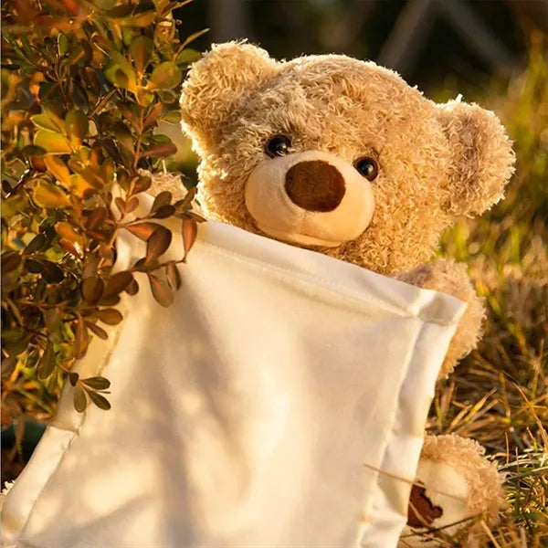 Soft Plush Interactive Peek-A-Boo Teddy Bear Talking Toy