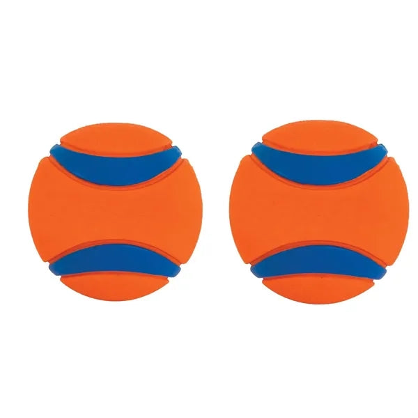 Ultra Ball Dog Toy