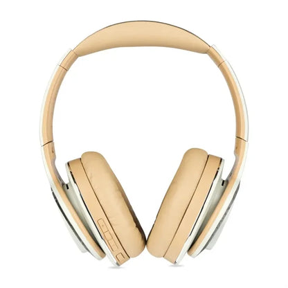 Cleer Enduro 100 Bluetooth Headphones