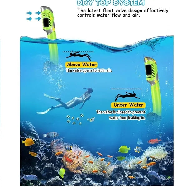 Swim Dry Snorkel Set HD Dive Mask Easy-Breath Anti-fog