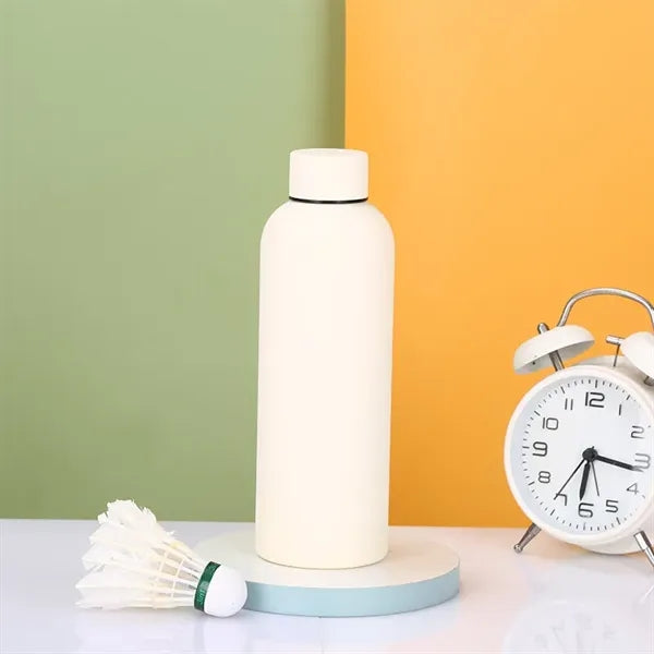 Double Wall Stainless Steel Bottle