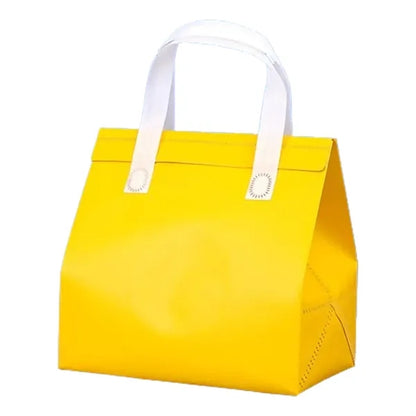 Laminated Non-woven Protable Cooler Insulation Bag MOQ50