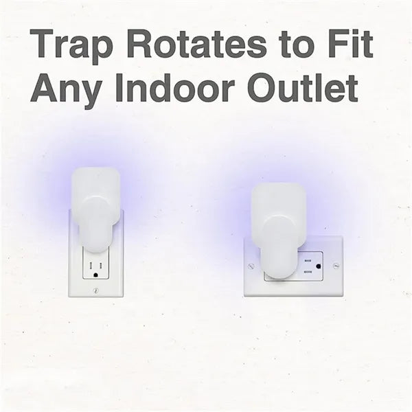 Plug-In Multi Insect Killer Lamp Fly Trap with 2 Glue Cards