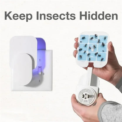 Plug-In Multi Insect Killer Lamp Fly Trap with 2 Glue Cards
