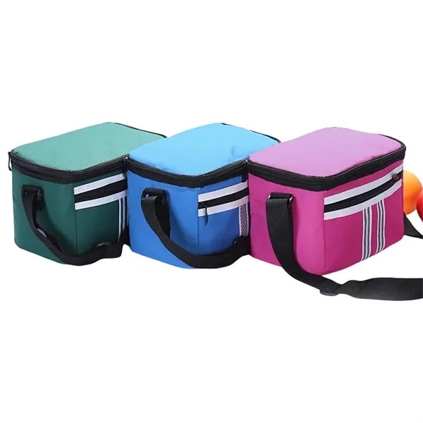 Lunch Bento Box Cooler Tote