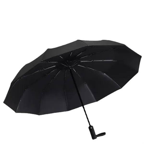 Windproof Travel Compact Automatic Umbrellas