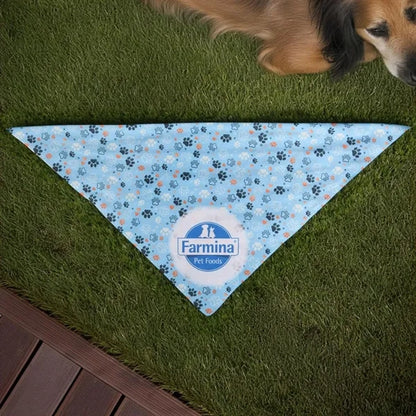 Sublimated RPET Bandana
